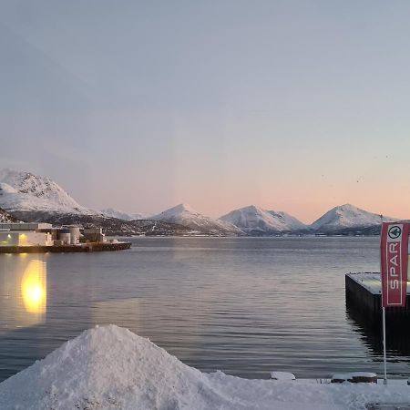 Aurora Harbour House Lodingen Exterior photo